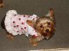Nightie night!!!-dsc01256-600-x-450-.jpg