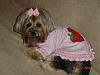 Sophie in the cutest strawberry hoodie.-016.jpg