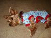 Bengi got new PJs from Des!!!!-036.jpg