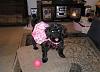 Tink got her new dress from Connie!-connies-dress-001.jpg