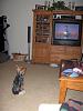 Sis watching TV-broken-bow-2008-005-small-.jpg