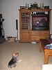 Sis watching TV-broken-bow-2008-002-small-.jpg