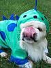 Post your BEST/FUNNIEST/CUTEST dog Halloween costumes-151-450-x-600-.jpg