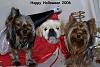 Post your BEST/FUNNIEST/CUTEST dog Halloween costumes-halloween-2006-600-x-403-.jpg