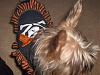 Post your BEST/FUNNIEST/CUTEST dog Halloween costumes-halloween-2007-073.jpg