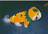 Post your BEST/FUNNIEST/CUTEST dog Halloween costumes-tn_cosmohalloweenpeek1.jpg