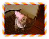 Happy Birthday Little Princess-dsc03405.jpg