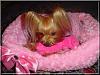 Lets see your Yorkies Bed.-destiny-b-020.jpg