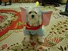 Post your BEST/FUNNIEST/CUTEST dog Halloween costumes-dsc06026-vi.jpg