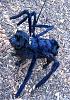 Post your BEST/FUNNIEST/CUTEST dog Halloween costumes-14-20amazing-20ridiculous-20dog-20costumes-2013.jpg