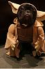 Post your BEST/FUNNIEST/CUTEST dog Halloween costumes-14-20amazing-20ridiculous-20dog-20costumes-206.jpg