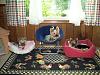 Lets see your Yorkies Bed.-100_0487.jpg