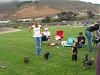 A few pictures of our CA. meet-up yesterday!-ca.-yorkie-meet-up-8-16-08-035.jpg
