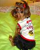 What is your favorite picture of your furbaby/babies?-gift-exchange-outfits-067.jpg