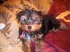 What is your favorite picture of your furbaby/babies?-m_41e5120eb7ebc5e69a821846e80e3dec.jpg