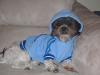 New Winter Clothes-gizmo-hoodie.jpg