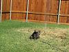 Gracie Ruth vs "The Sprinkler"-sprinkler1.jpg