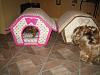 My Babies New Soft-Sided Dog Houses-img_3638-600-x-450-.jpg