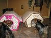 My Babies New Soft-Sided Dog Houses-img_3639-600-x-450-.jpg