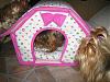 My Babies New Soft-Sided Dog Houses-img_3640-600-x-450-.jpg