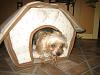 My Babies New Soft-Sided Dog Houses-img_3642-600-x-450-.jpg