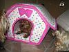 My Babies New Soft-Sided Dog Houses-img_3644-600-x-450-.jpg