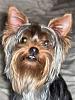 What is your favorite picture of your furbaby/babies?-spring-2007-small-.jpg