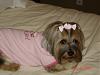 Sophie in her Daddy's little girl shirt and pigtails.-011.jpg