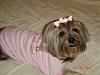 Sophie in her Daddy's little girl shirt and pigtails.-013.jpg