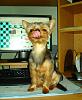 Everyone LOVES the tongue pics... POST YOUR FAVS!!-dsc02770small.jpg