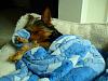 Carson sleeping with his teddy :)-dsc01389crop.jpg