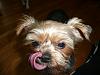 Everyone LOVES the tongue pics... POST YOUR FAVS!!-tongue3.jpg