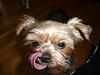 Everyone LOVES the tongue pics... POST YOUR FAVS!!-tongue3.jpg