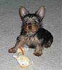 I would like to introduce Tucker-tucker1-082008.jpg