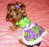 Lilly modeling the dress Belinda (Belindtch) made!-belindasdoggydelights-003.jpg