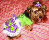 Lilly modeling the dress Belinda (Belindtch) made!-belindasdoggydelights-008.jpg