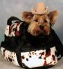 Yorkie Froggie "Happy Halloween"-purse_skeeter.jpg