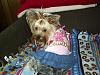 Princess Lola's 1st Birthday!!!-p8250018.jpg