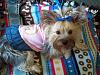 Princess Lola's 1st Birthday!!!-100_0615.jpg