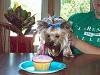 Princess Lola's 1st Birthday!!!-100_0625.jpg