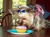 Princess Lola's 1st Birthday!!!-100_0627.jpg