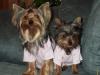 My wittle babies...-lexi-tori-107.jpg