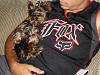 Let's see those macho men with our fur babies....-mia189.jpg