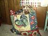 Lola found a new bed!!!-p8240014.jpg