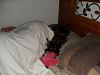 Where does your Yorkie sleep?-l_2ac7d3b4a00f7c5f5937bb09ad5c66cd.jpg