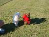 Diddy does not like to share!-dsc07156.jpg