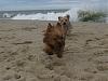 Britney, Brooklyn and Coral at the Beach!-203a.jpg