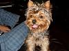 My Messy, Precious little Boy RALPHIE!!-tongue-5.jpg
