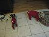 BETTY and JUJU'S New PJ's-rsz1406.jpg