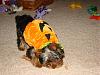 Halloween Costume-dsc08626.jpg